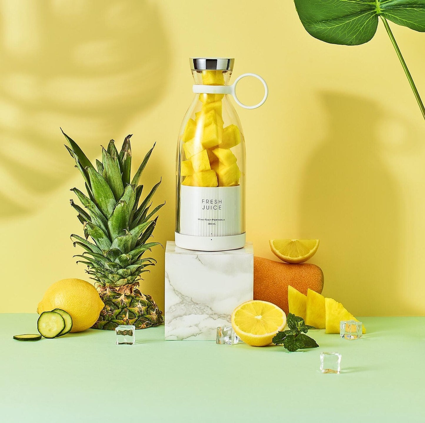 Shaker Blender Bottle for Protein & Smoothies